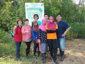 Mangrove @ Kuala Selangor