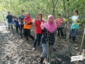 Mangrove @ Kuala Selangor