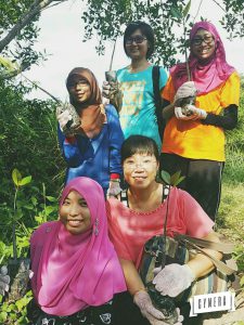 Mangrove @ Kuala Selangor